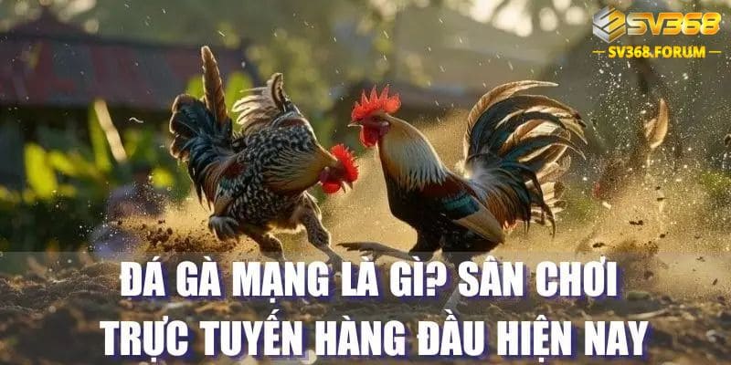 Khái quát về hình thức đá gà trực tuyến